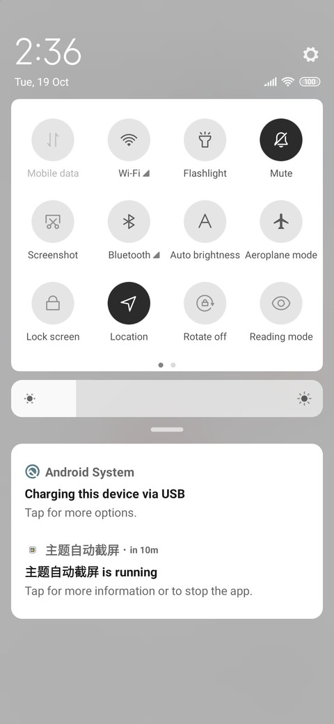 Small element screenshot
