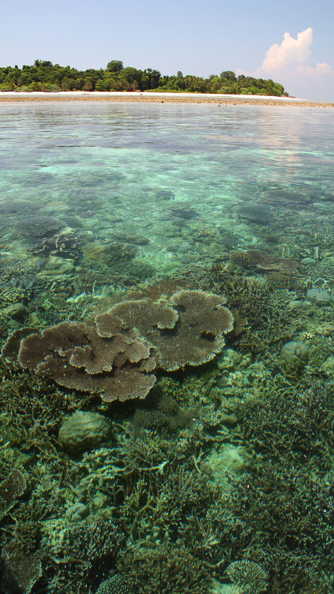 Indonesian landscape screenshot