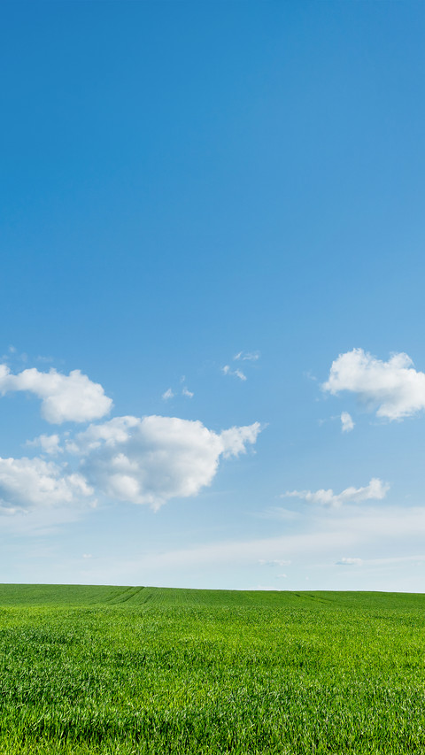 Green Grass And Blue Sky screenshot