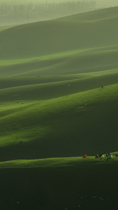 Grassland light and shadow screenshot