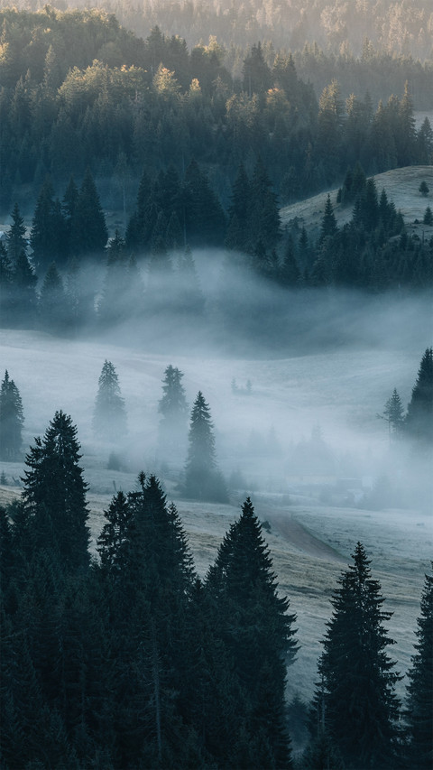 Encounter apseni in the height of summer screenshot