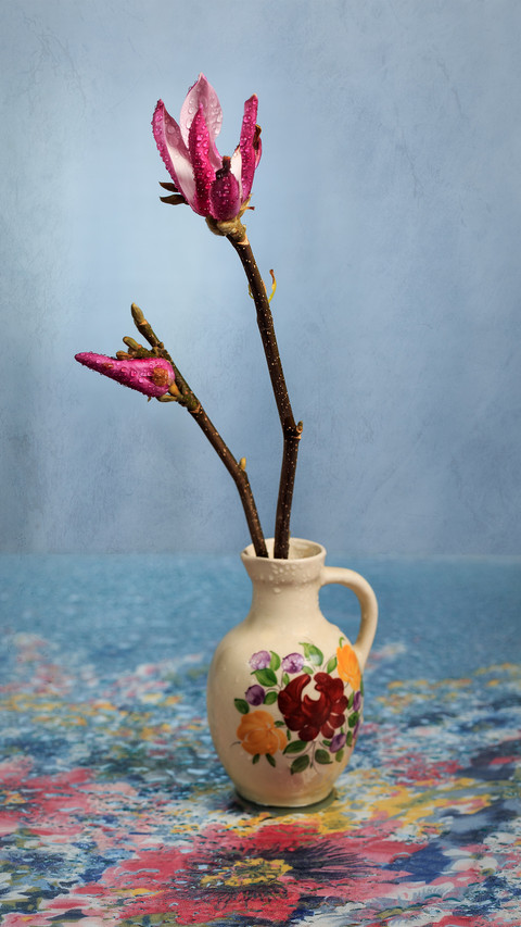 Magnolia Blossoms Have a Unique Style 37 screenshot