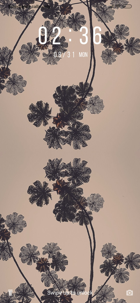 Tree Wallpaper_3MDS screenshot