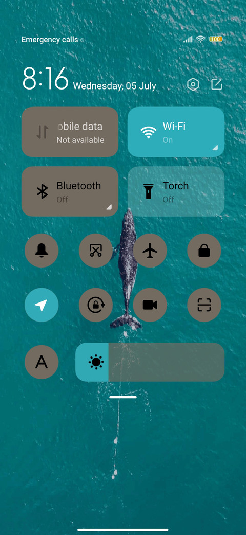 Whale emergence screenshot