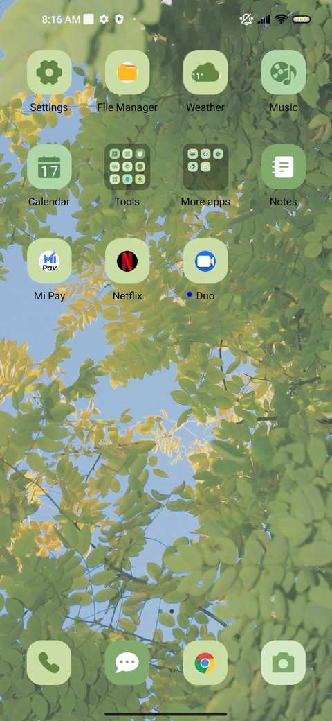 Fresh green leaves screenshot