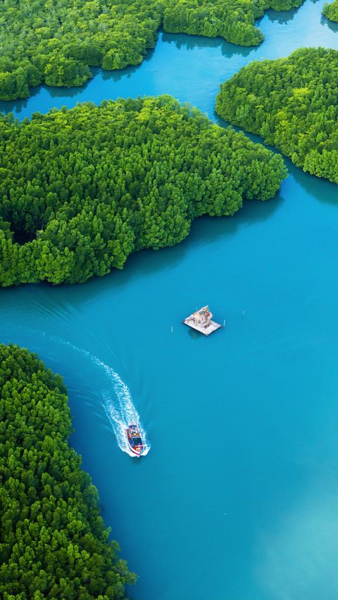 Perfect southeast asian scenery screenshot