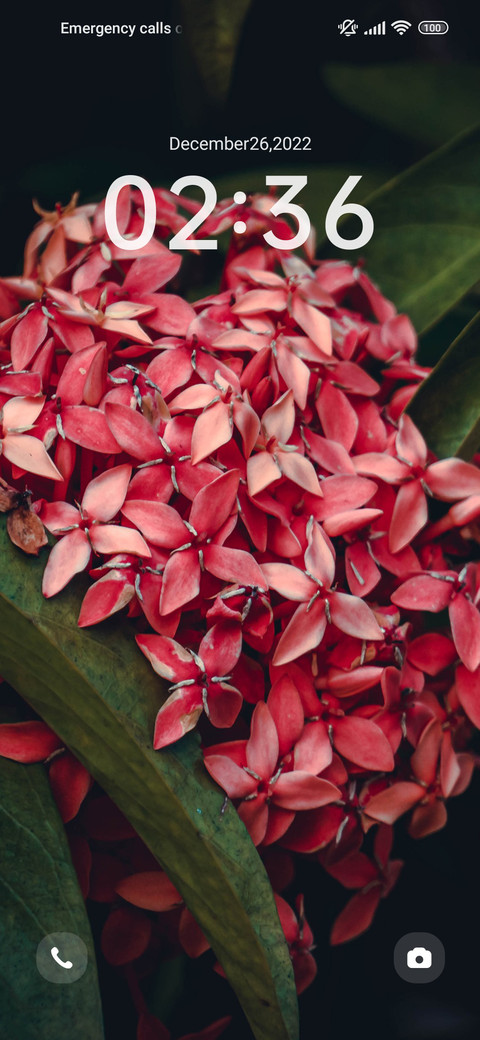 Green leaf flower screenshot