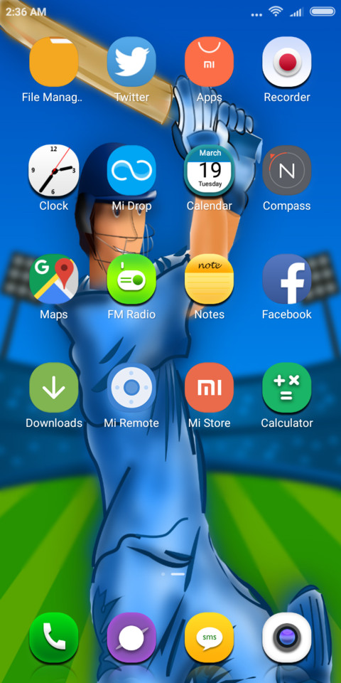 Final_Cricket screenshot