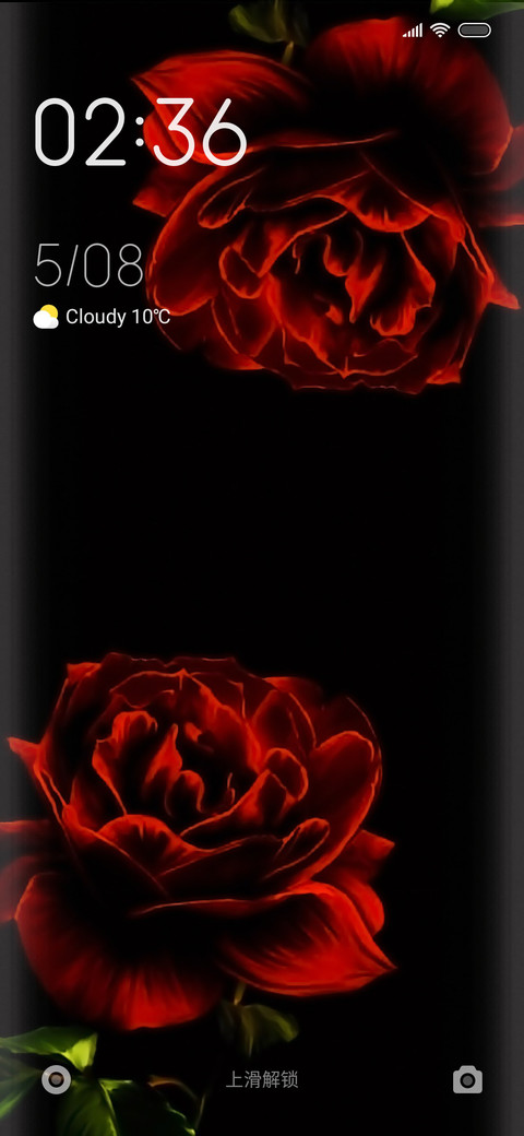 Rose fine screenshot