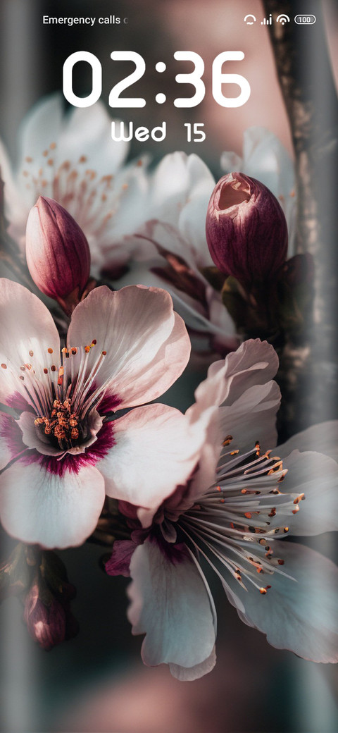 Flower Cherry screenshot