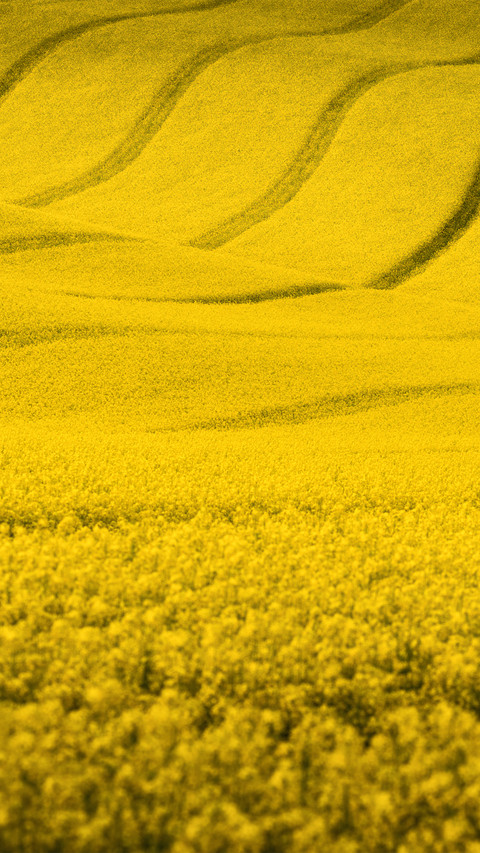 Wide fields screenshot