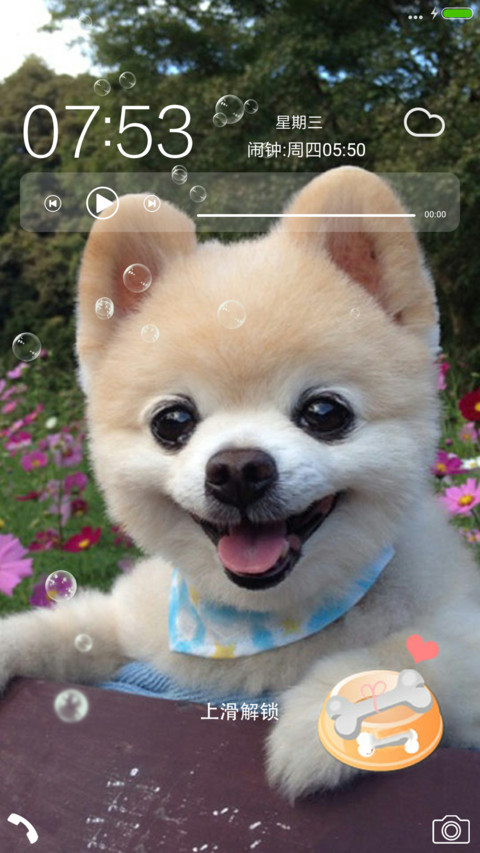 卖萌的狗狗 screenshot