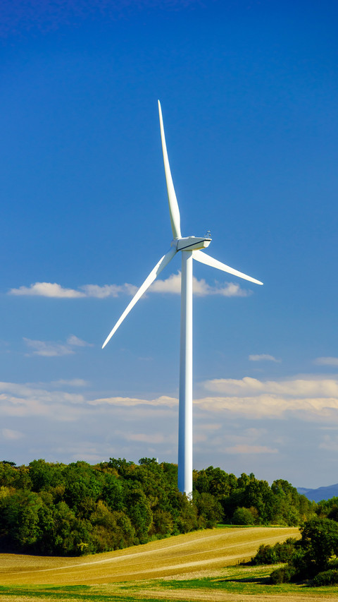 Romantic windmill-18 screenshot