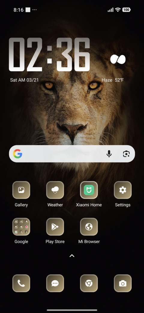 Lion Face screenshot