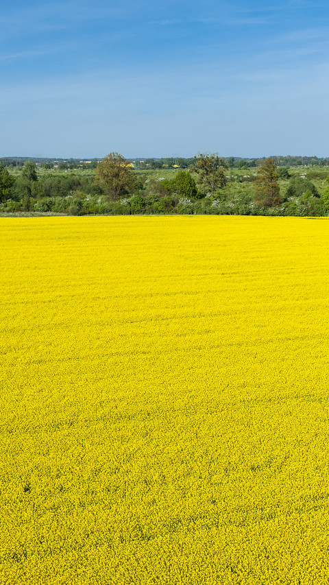 Farmland fields screenshot