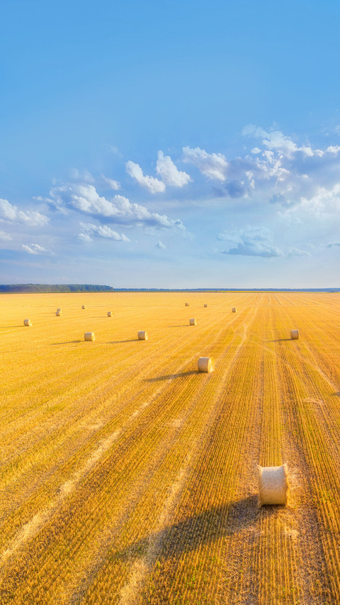 Hay Bales at Sunset in Summer screenshot
