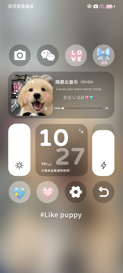 治愈发财金毛 screenshot