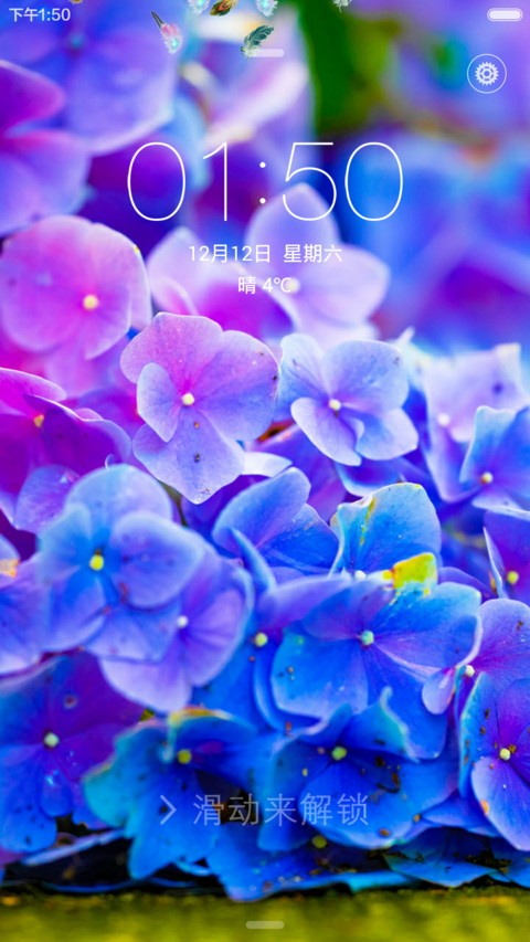 勿忘我(动态羽毛锁屏) screenshot