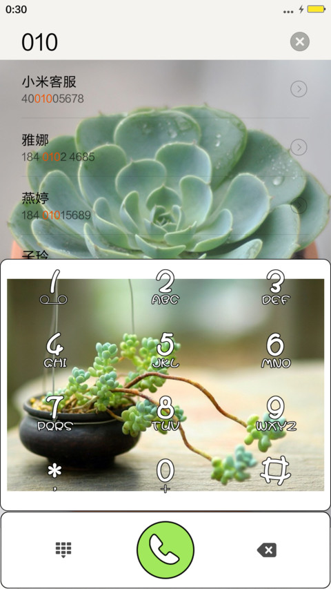 情不自禁爱上多肉植物。 screenshot
