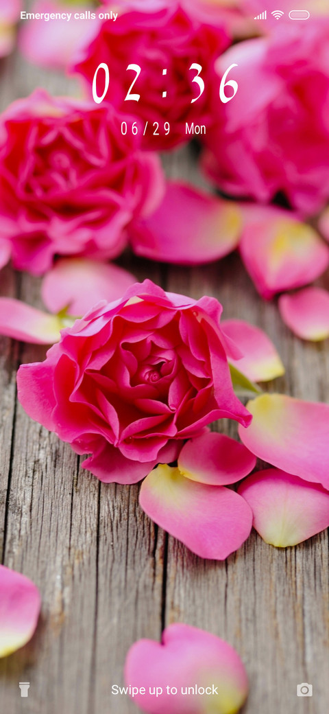 Pink rose_3MDS screenshot