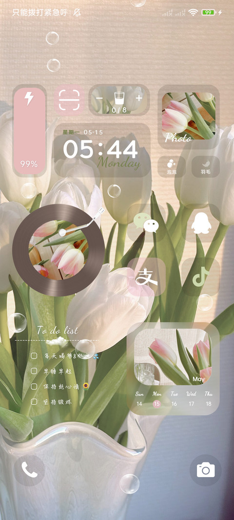 浪漫郁金香组件 screenshot