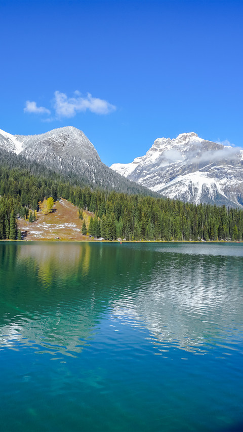 Youhe national park screenshot