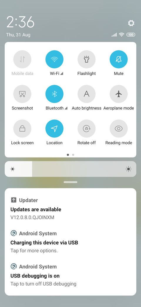 Acrylic rabbit screenshot