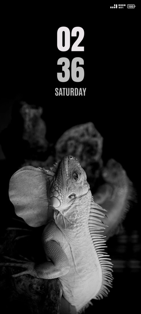 Wild Reptile screenshot