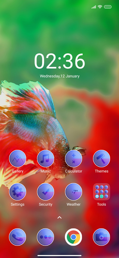 Colorfull Fish screenshot