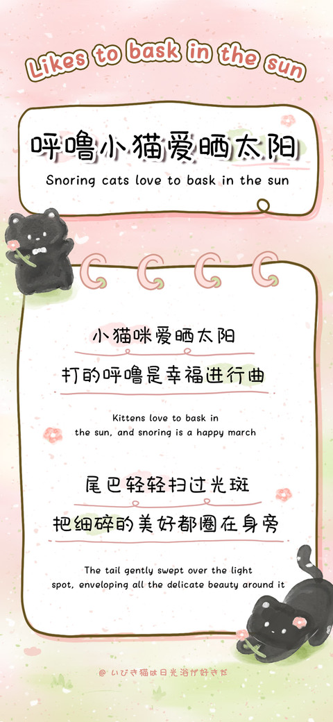 呼噜小猫爱晒太阳 screenshot