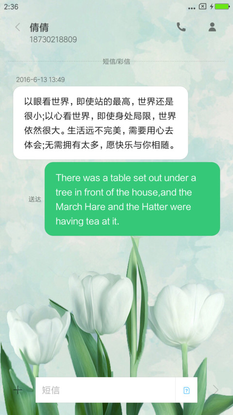 白色郁金香 screenshot
