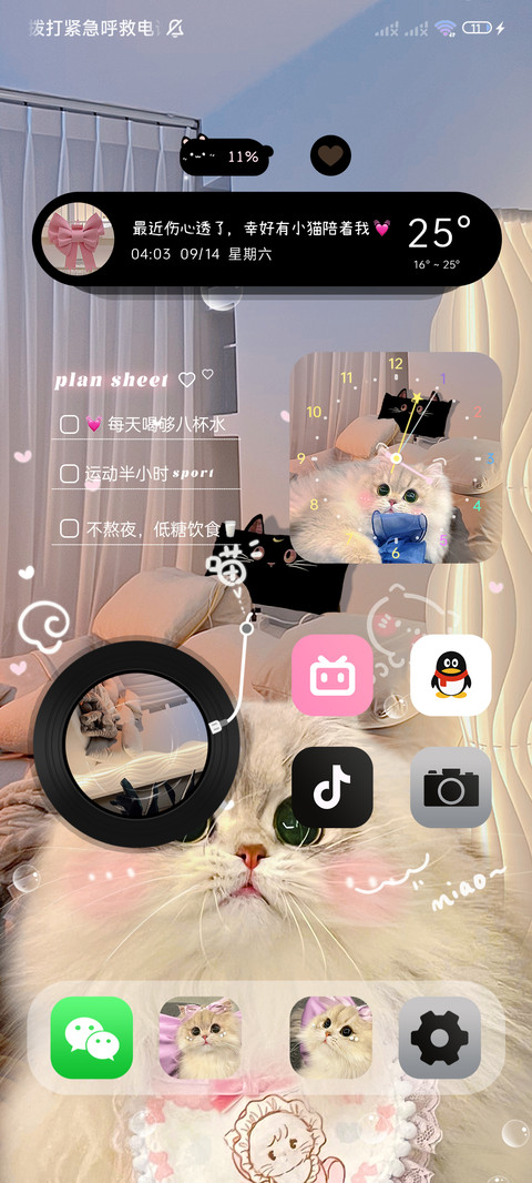 ins窝系可爱小猫 screenshot