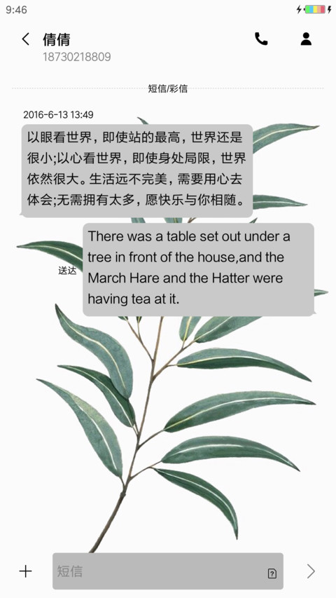 植物记 screenshot