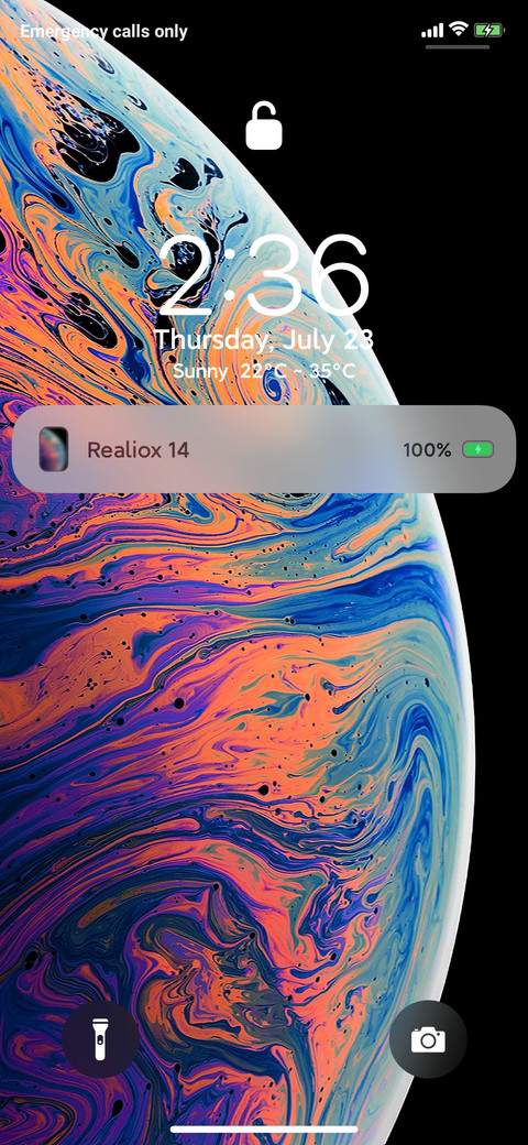 Realiox 13_Dual screenshot