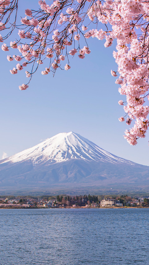 Who can own mount fuji by love screenshot