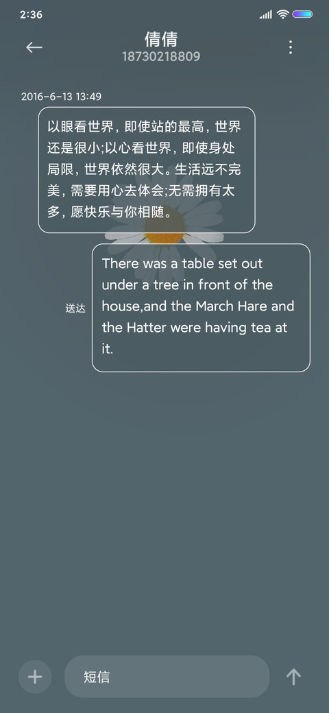 莫兰迪的雏菊 screenshot