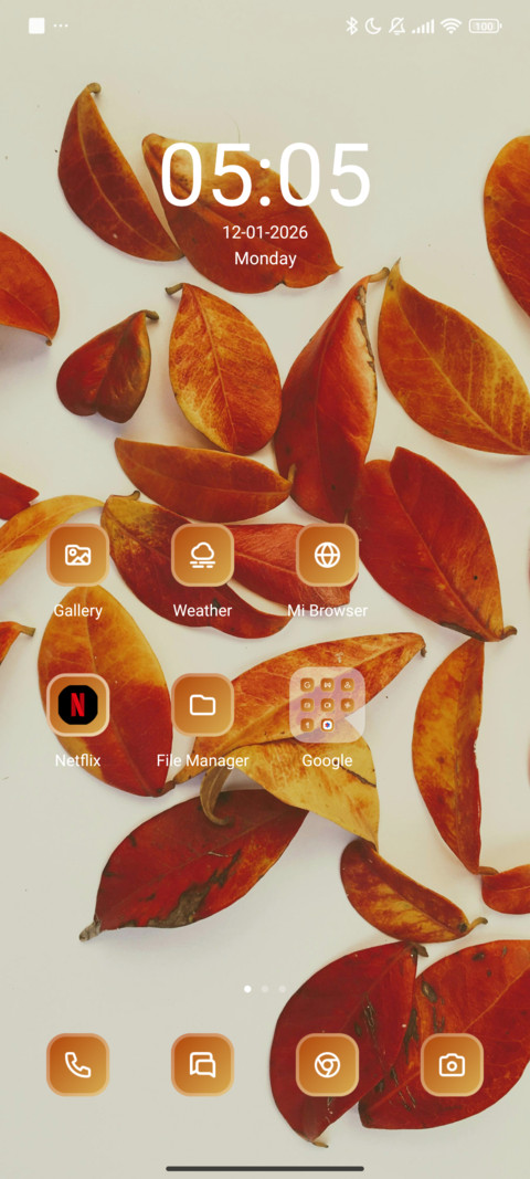 Brown Leaves screenshot