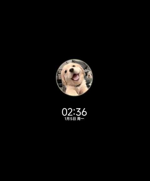 3D小金毛 自定义 screenshot