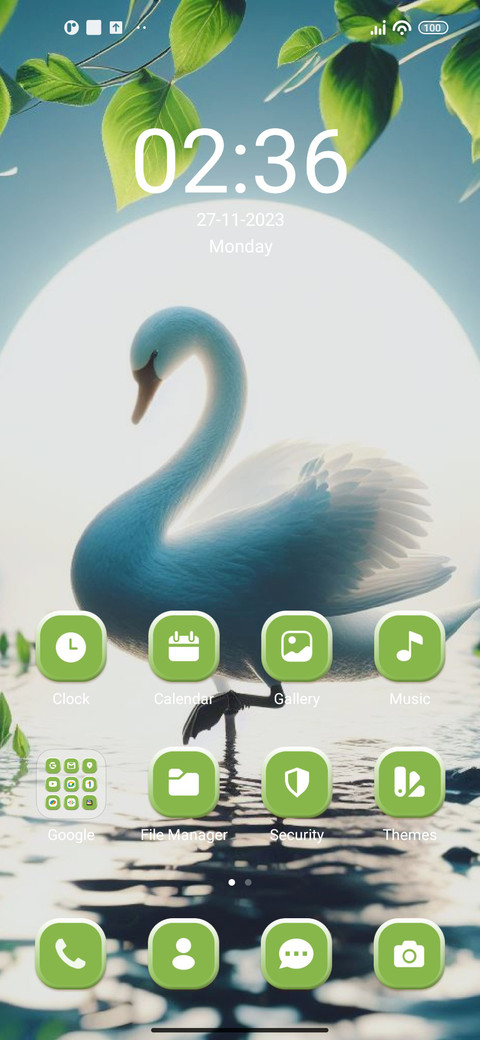 Beautiful Swan screenshot