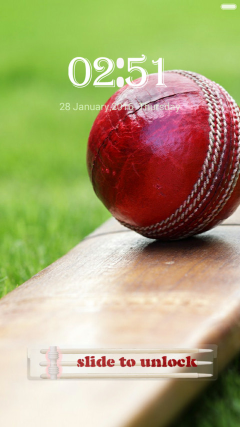  IN Cricket screenshot