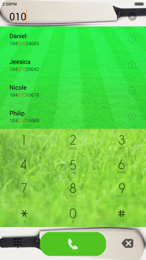  IN Cricket screenshot