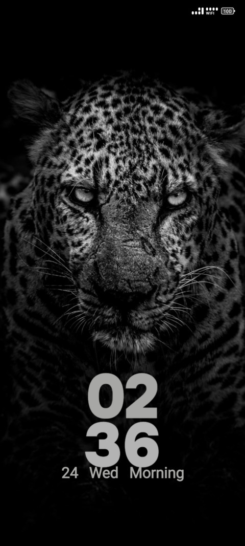 Grayscale Leopard screenshot
