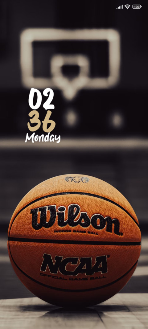 Slam Dunk screenshot