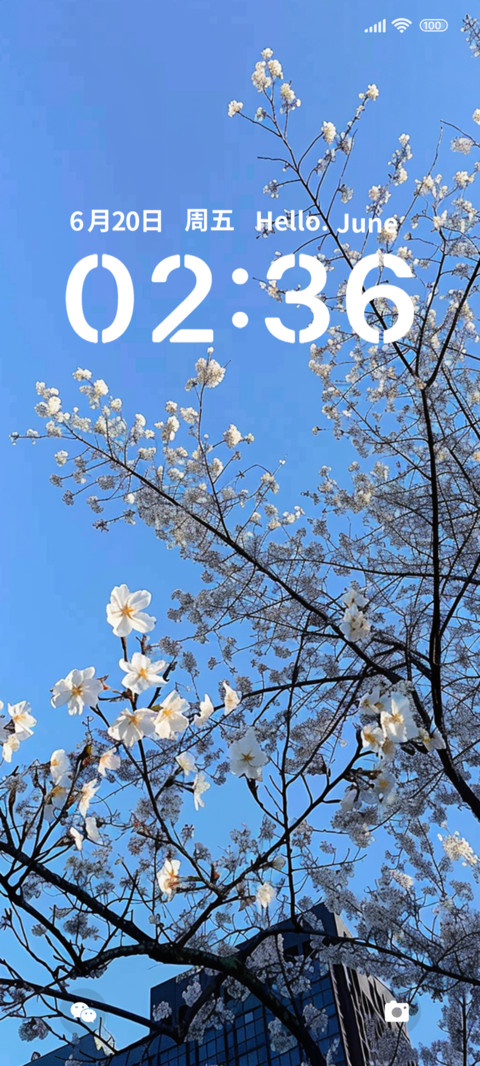 蓝浪漫给予我们 screenshot