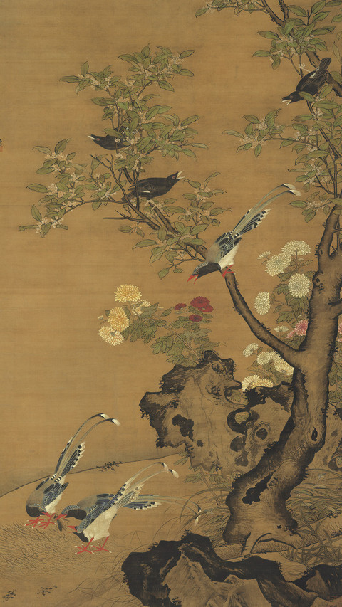不是花中偏爱菊 screenshot