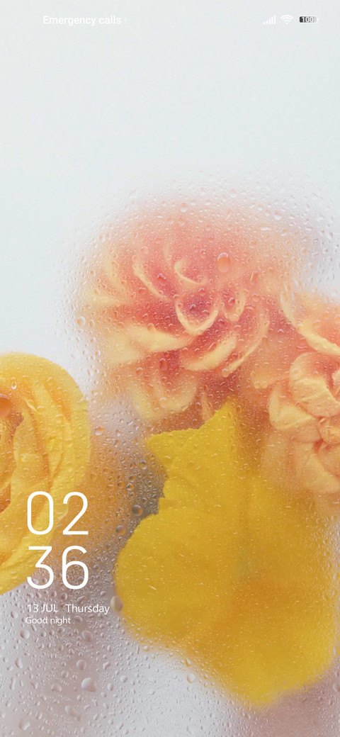  yellow roses screenshot