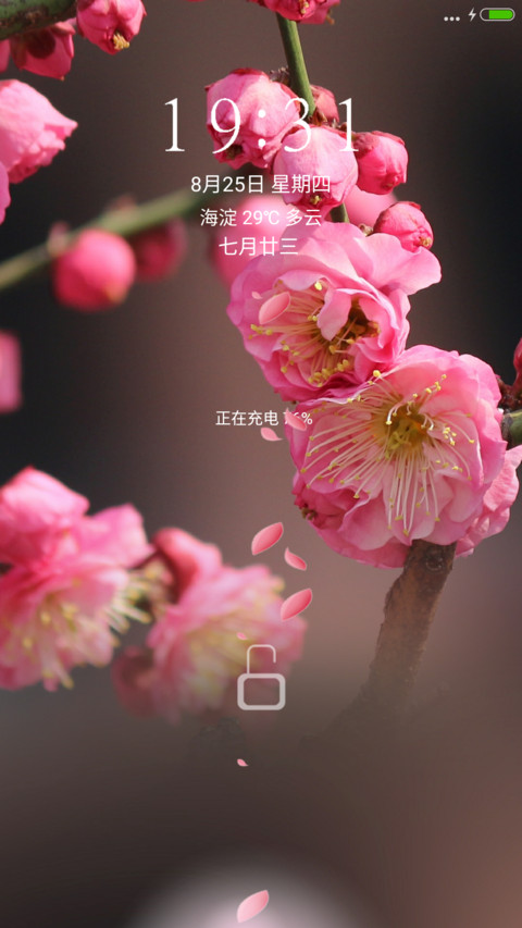 桃花唯美盛开（炫酷充电动画） screenshot