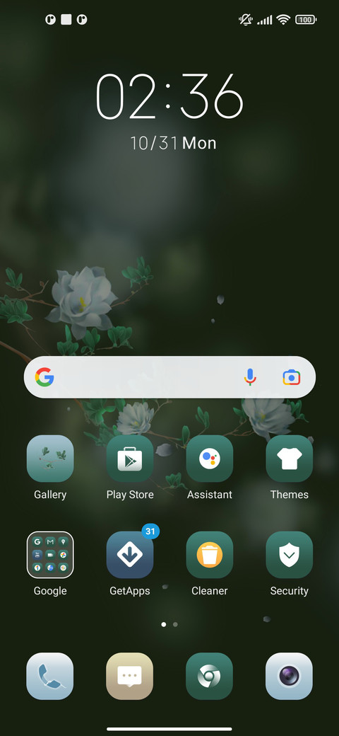 Beautiful flowers screenshot
