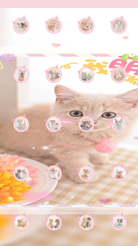 快乐小萌猫 screenshot