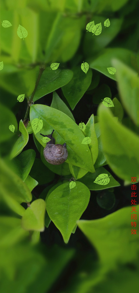 雨后护眼蜗牛 screenshot